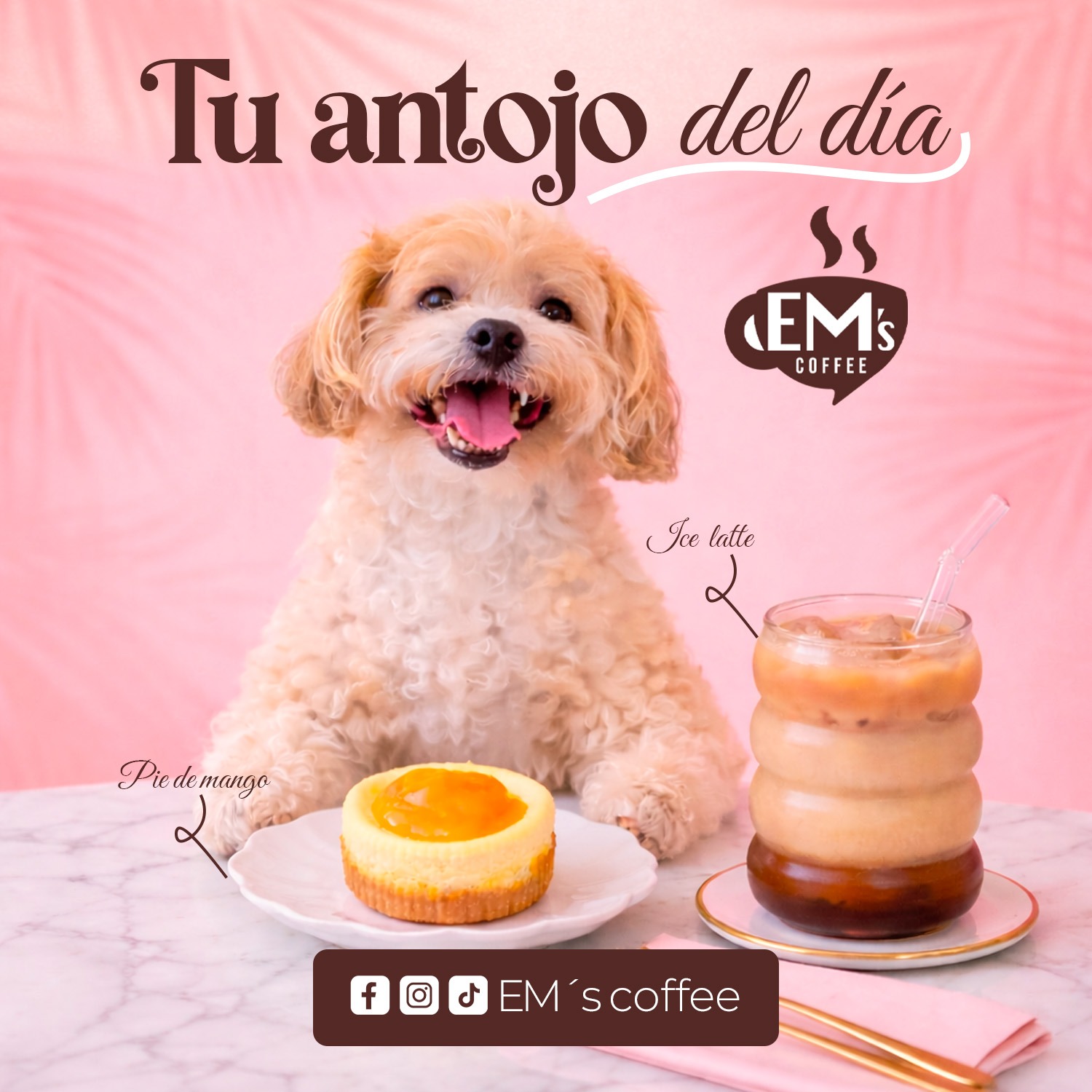 Campaña EM's Coffee